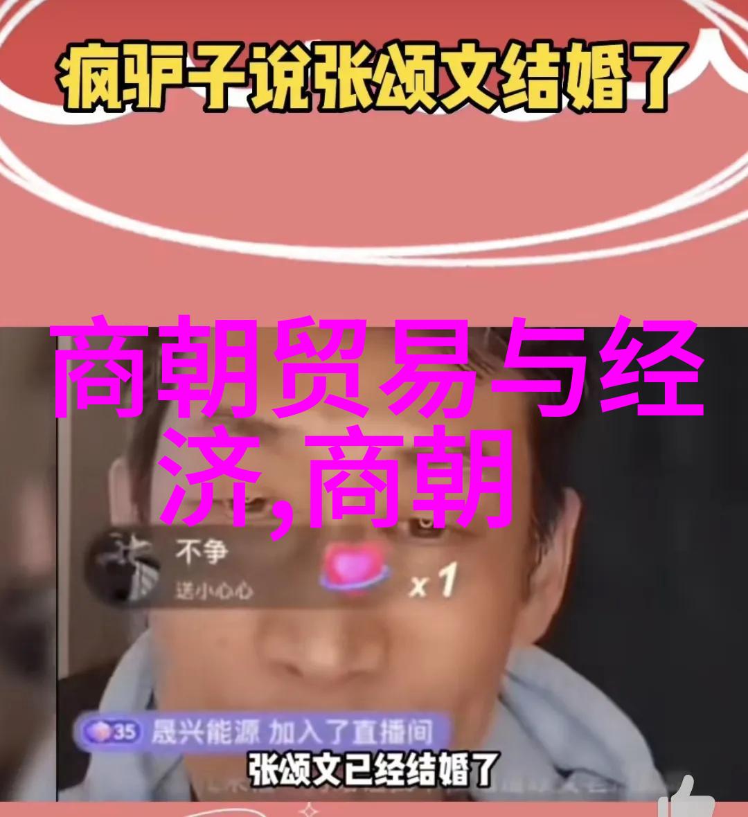 南宋覆灭后的中国元朝的崛起与影响