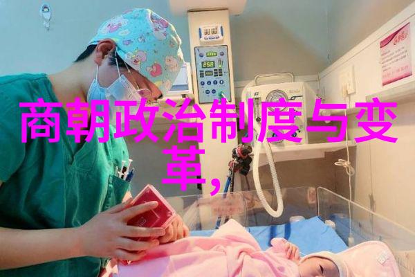 清兵入关前夕明朝最后一位皇帝崇祯皇帝采取了什么措施来挽救国家危机