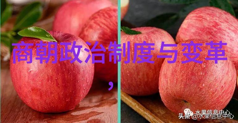 我国为什么不拍元朝电视剧历史遗忘与文化复兴的难题探讨