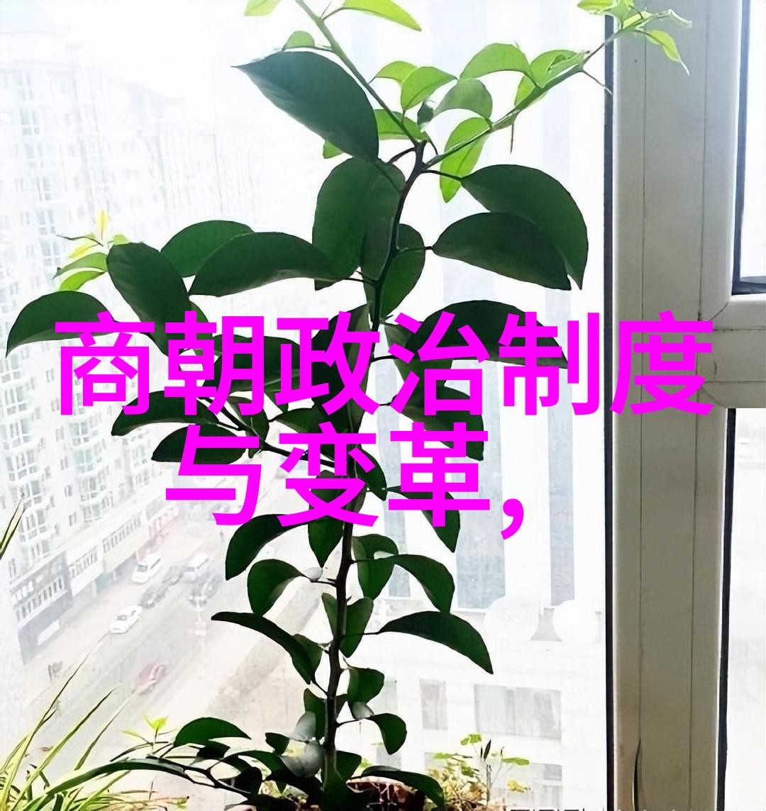 明朝那些事有声小说揭秘历史中的奇迹与悲剧