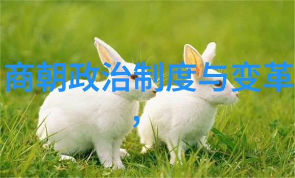 梁朝传承武当山武术探秘闽台专班引客入云祈福仙山之旅