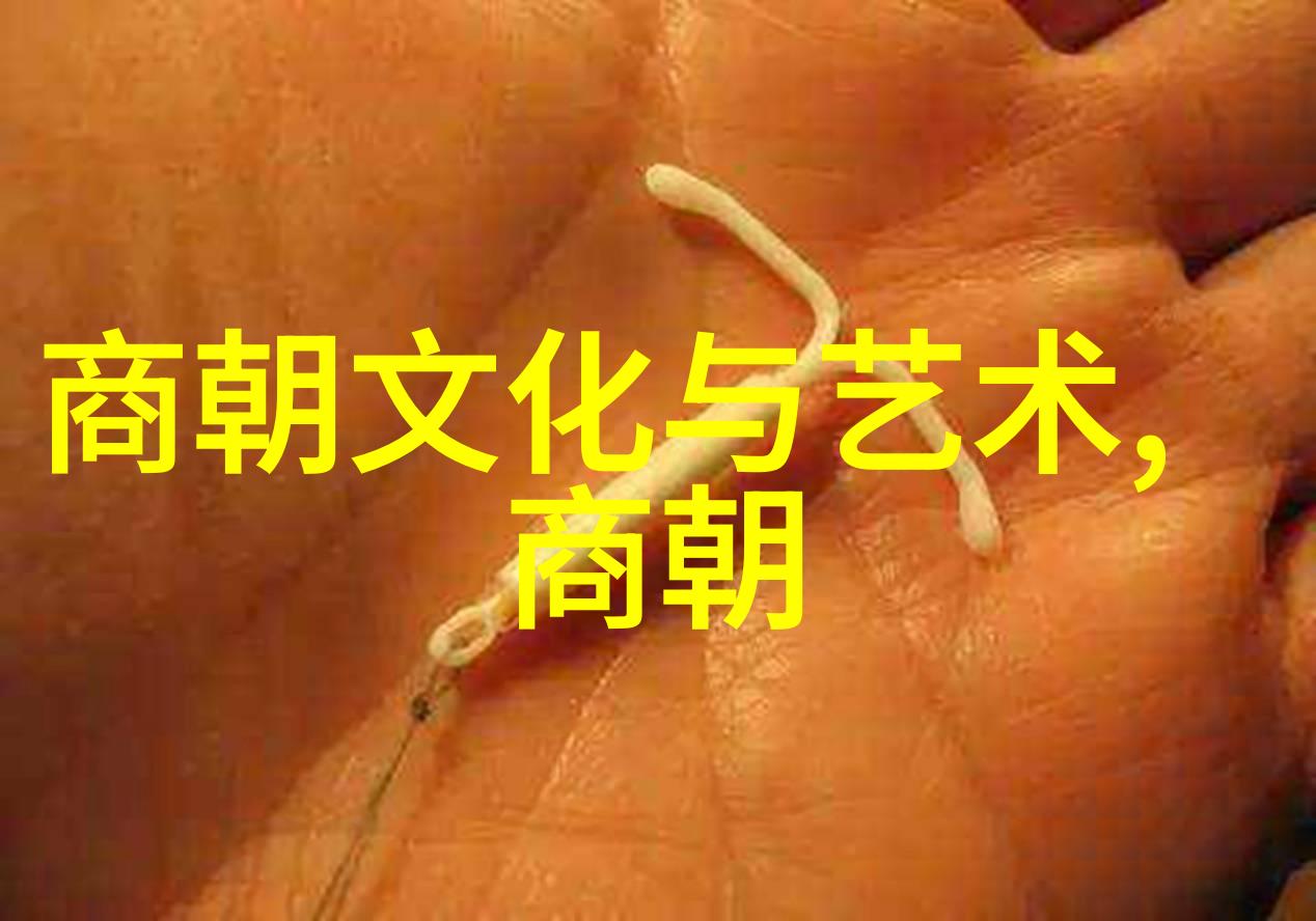 明朝辉煌帝王与将领的传奇交响曲