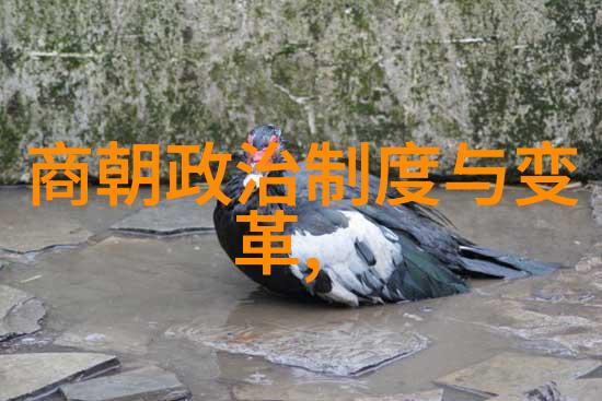 唐宋元明清后面是什么朝代我国历史的下一站从清末到民国的转变