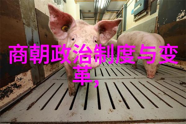蒙古铁骑与明军交锋土木堡战役的生死考验