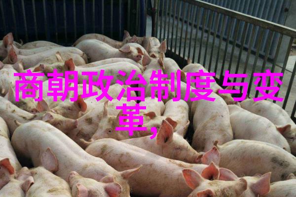 正史中的刘伯温真实还是神话