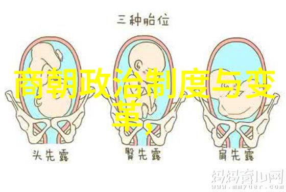 大明皇后孙若微简介我是如何成为大明皇后的孙若微的故事