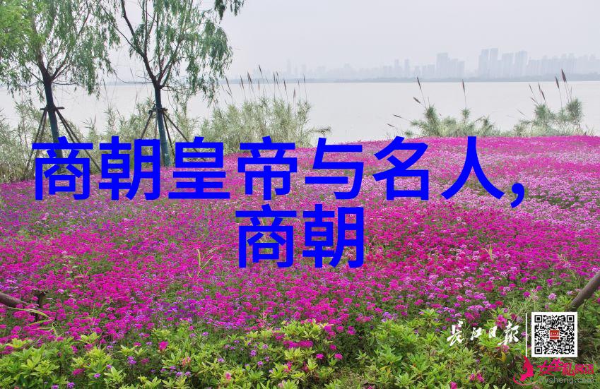 在权力的阴影之下暴君的温柔