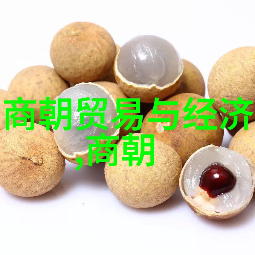隋唐盛世文化繁荣开皇至安史之乱