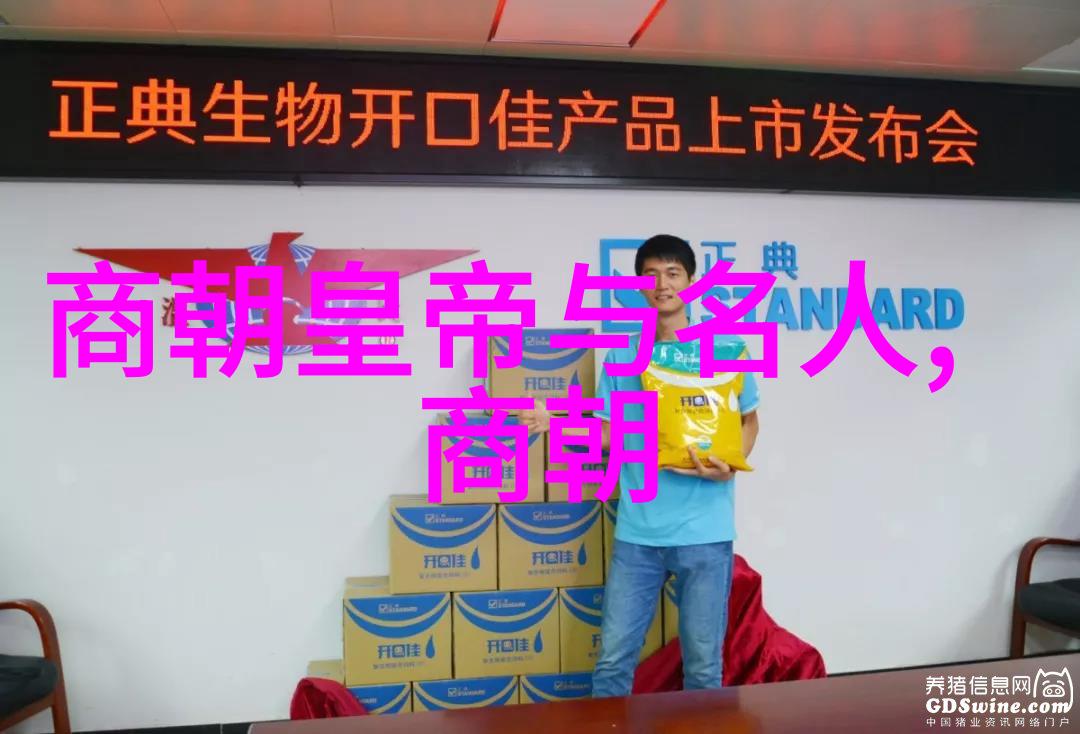 宋代的繁荣与变革历史风云下的艺术与文化盛世