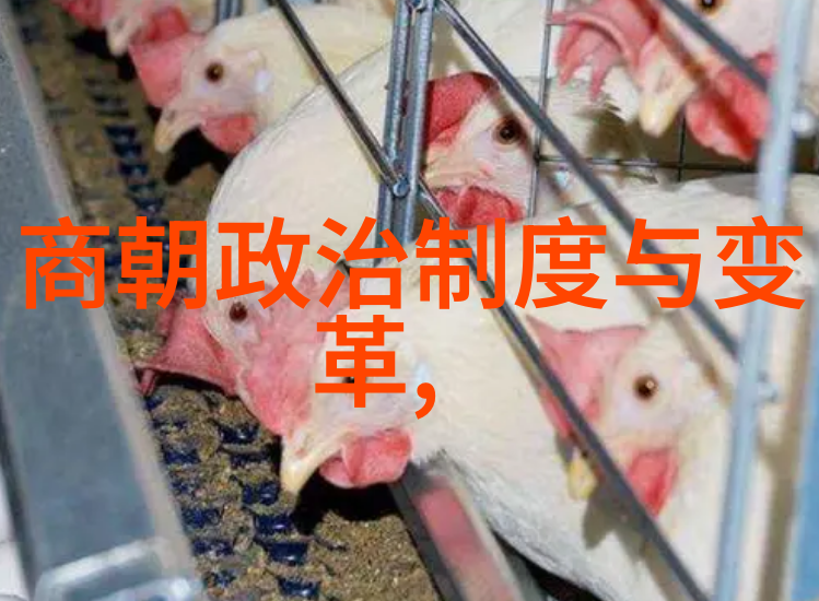 东晋文化健身知多少