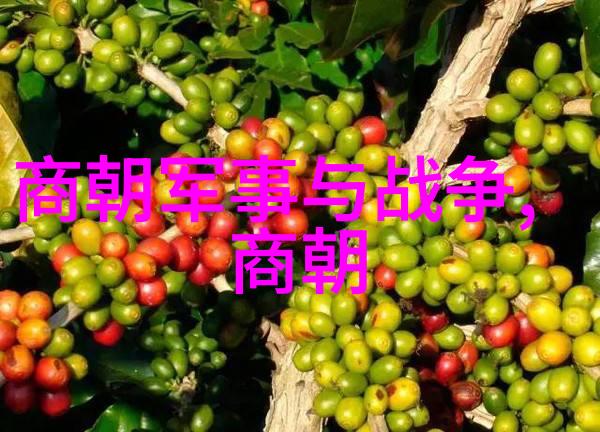 诱拐大神揭秘神秘力量的操控者