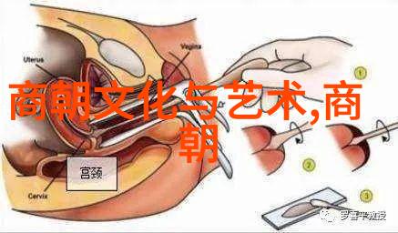 飞燕惊龙穿越古龙世界的现代人奇遇