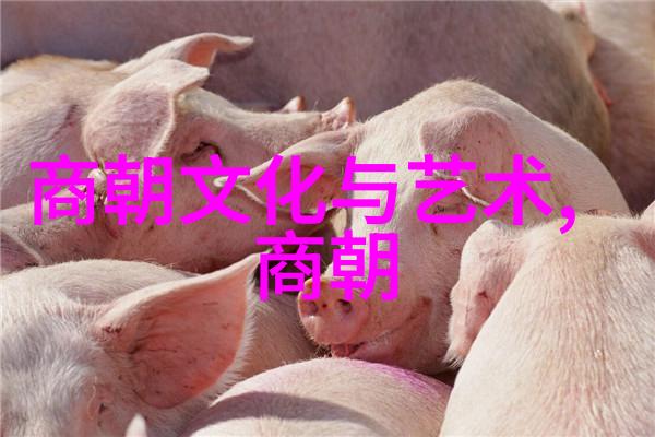 元朝灭亡时的恐怖现象血腥混乱与社会崩溃