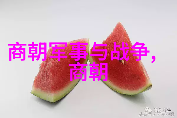 穿越时空的历史探秘免费听明朝那些事儿