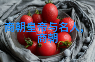 主题我总是好奇为什么朱瞻基英年早逝