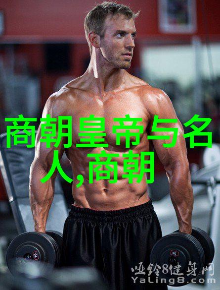 东风不与周郎便明朝那些事儿的璀璨篇章