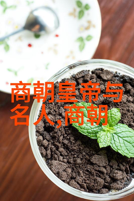 康熙被雍正毒死的阴谋康熙之死的背后
