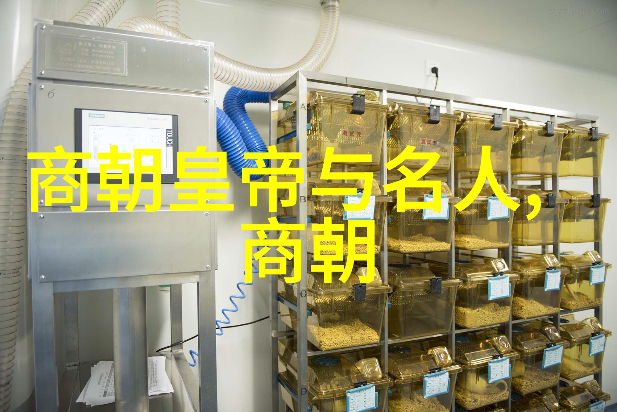 明朝帝王序列探究历代君主的兴衰与变迁
