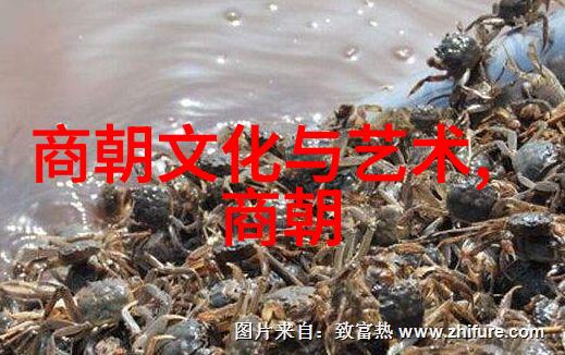 乾隆独尊探秘为什么没有人敢于挑战清朝的第三位皇帝