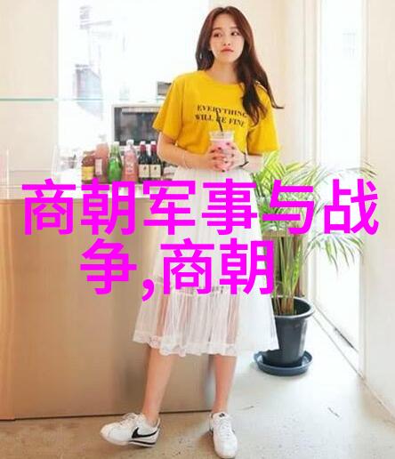 明朝十六帝政绩汇编与历史地位探究