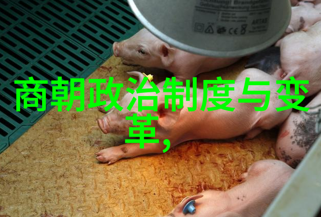 北宋末年政治社会状况如何