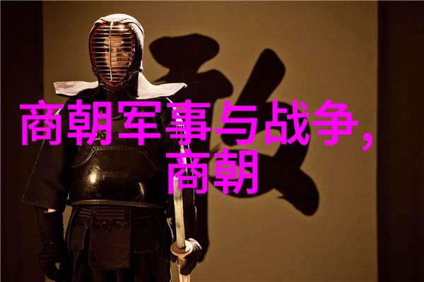 明朝那些声响的历史长河