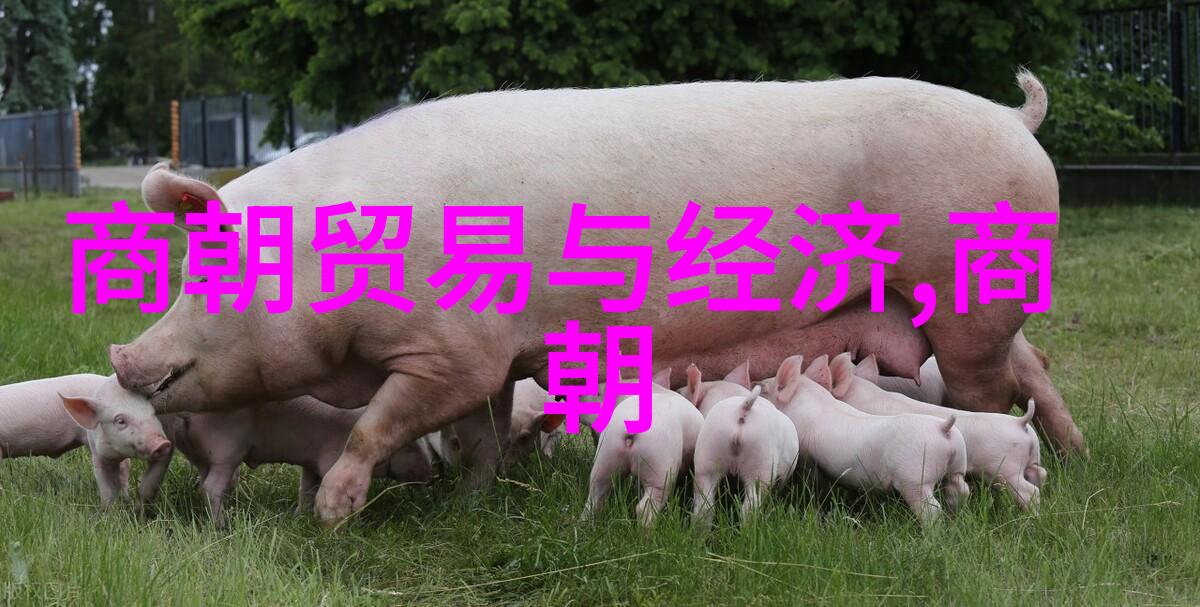 从明朝烽烟到历史屏幕一场时间的奇遇