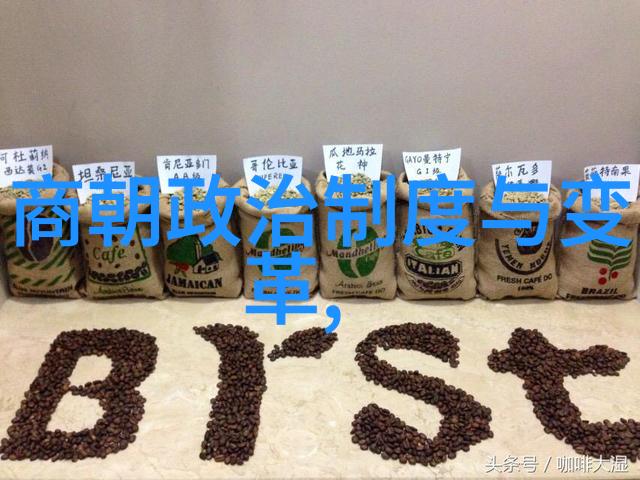 明代族谱血脉之交织