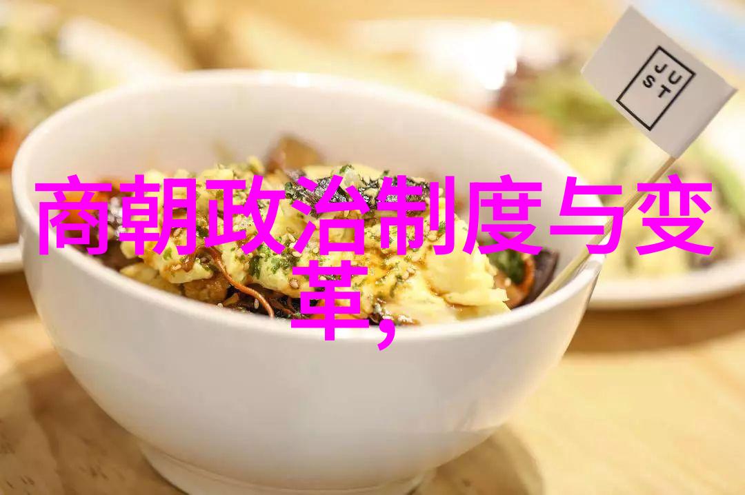 明朝简史-龙凤盛世与倾覆之途明朝的兴衰
