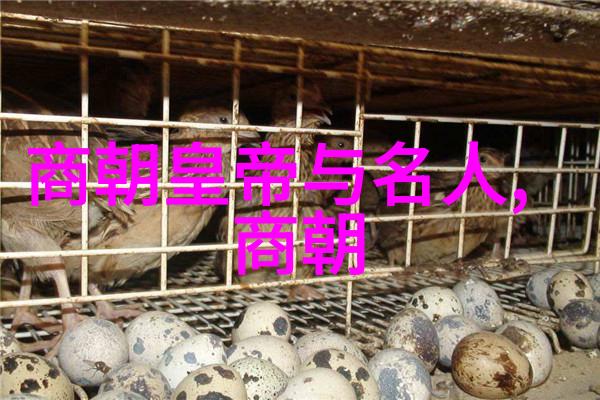 元代历史背景简介我眼中的元朝一个古老帝国的崛起与衰落