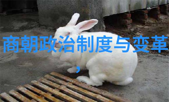 仝婷黄梅戏中的旦行演员她是不是就像那个黄梅戏女驸马韩再芬一样呢