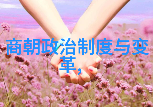 中国历史App数字化时代下的知识传承与文化创新