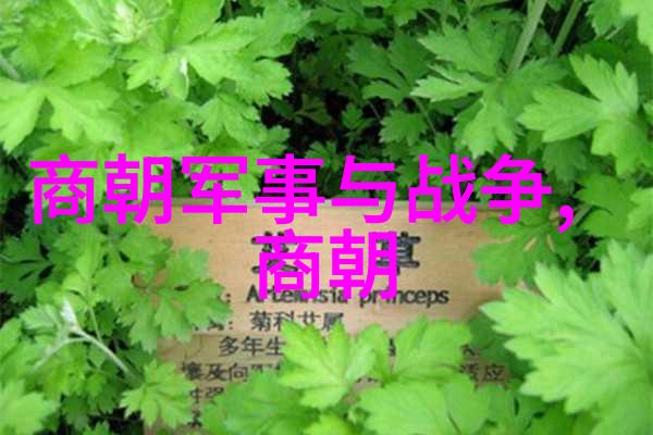 明朝由盛转衰的历史事件明朝末年农民起义李自成入宫清军南下灭亡