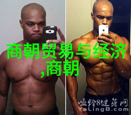 中国神话故事精选龙凤呈祥与五行天地