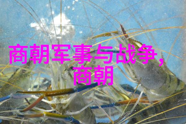 金不换金振秀豫剧丑行演员清风亭全集豫剧全场情感共鸣