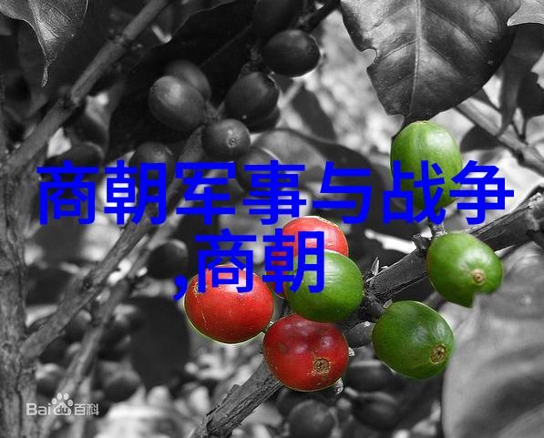 从龙椅到废墟中国历史朝代的辉煌与衰落