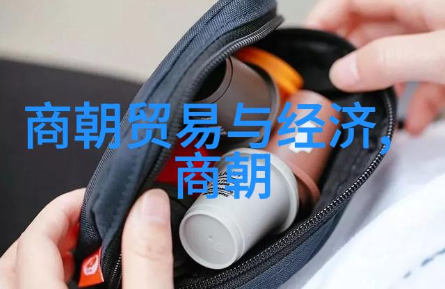 政策与个人利益论朱元璋的自私行为