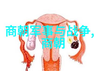 元朝风云脱脱的政绩与传奇