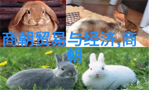 唐朝一念之转江山如画