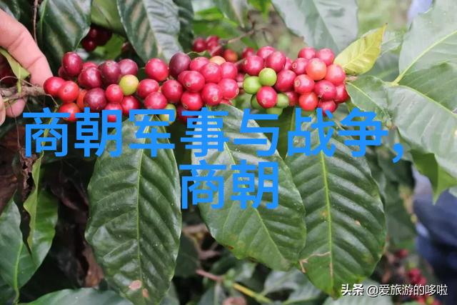 探秘明朝揭开历史的面纱