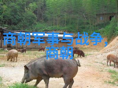 断代之谜元朝的真实面纱