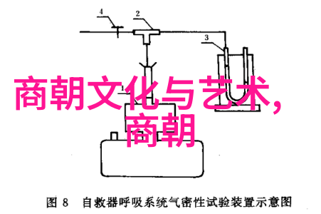 从忽必烈登基到元朝鼎盛探究1206年与1271年的区别