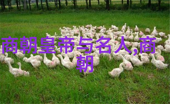历史的垃圾明清对比考古记