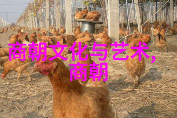 元朝小故事大全哪一段传奇能解开千年沉睡的历史之谜