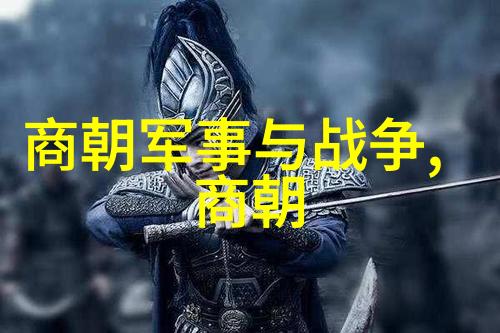 掠影皇朝揭秘的文字遗迹