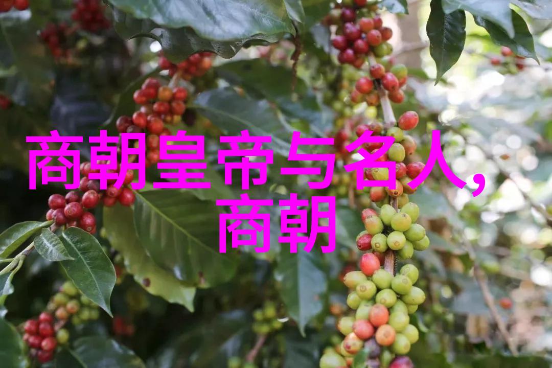穿越时空的书卷揭秘明朝那些隐藏的故事