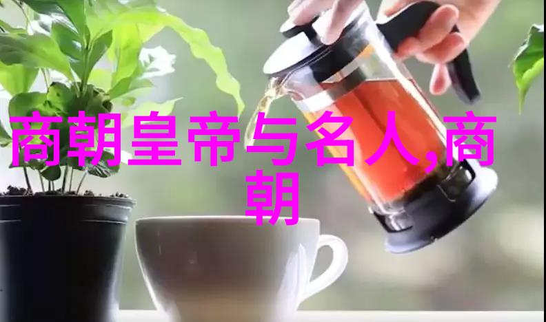 清朝乾隆雍正时期皇帝排位之争历史的重塑与权力斗争