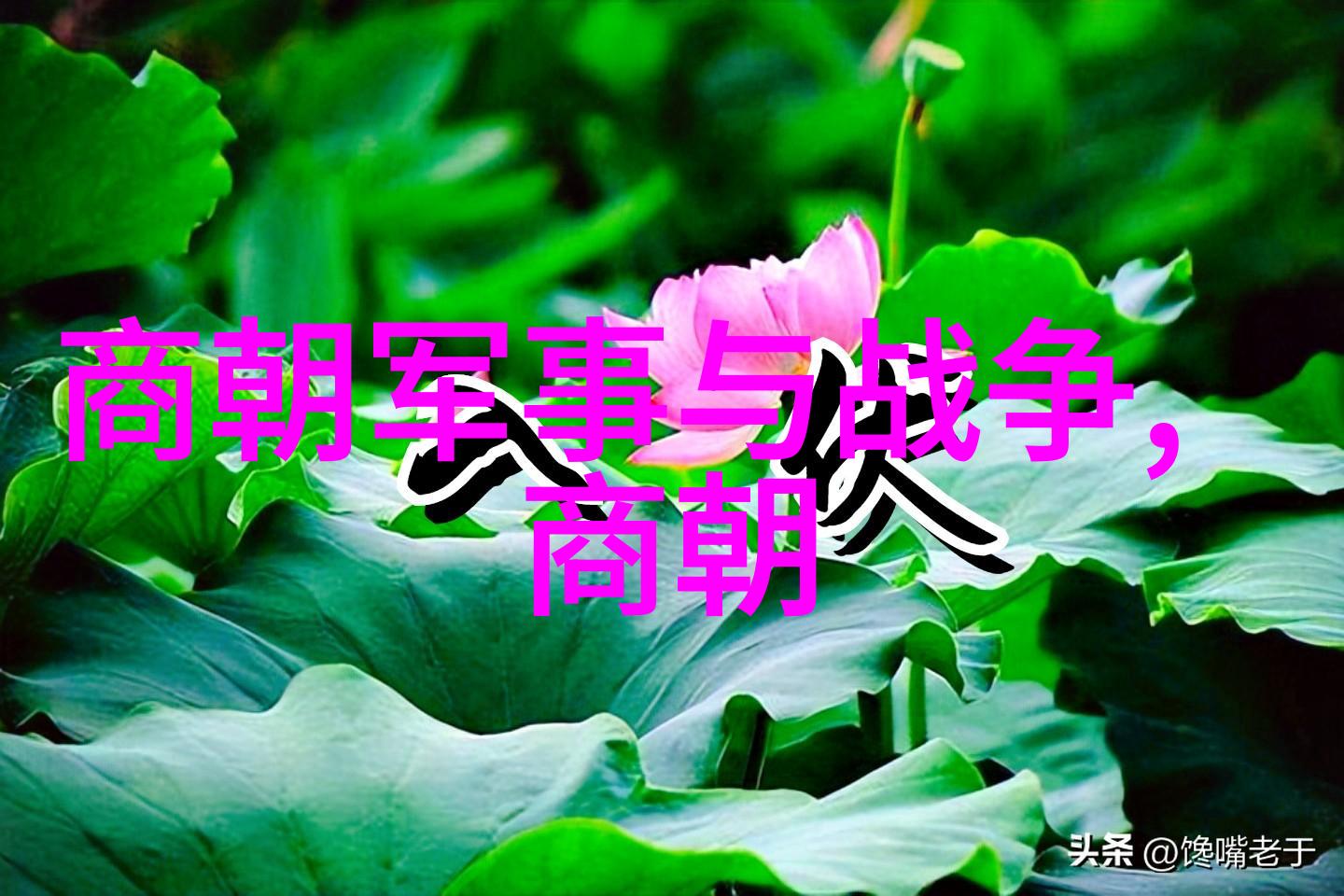 明末八旗军的恐怖战斗力铁血与寒光的交锋