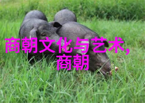 东晋后继朝代南朝宋的繁荣与辉煌