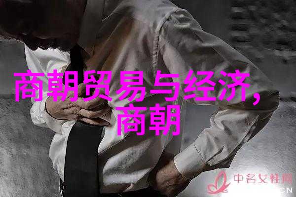 宋朝趣事录笑谈与奇迹